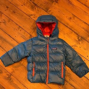 Patagonia 3T high loft hi blue and red Kids' Puffer Jacket toddler